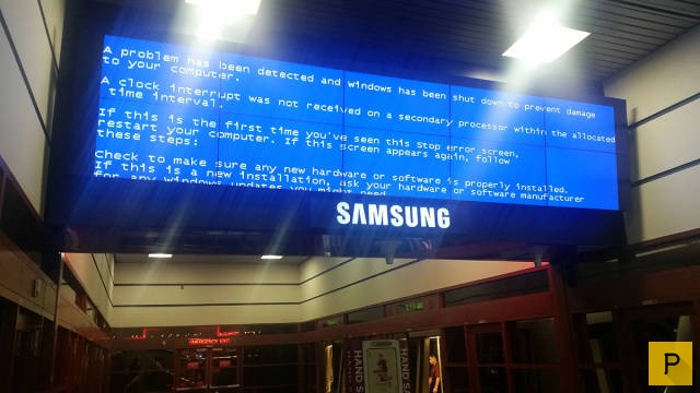 �������� ���������� ����������, ����� 41 (130 ����)