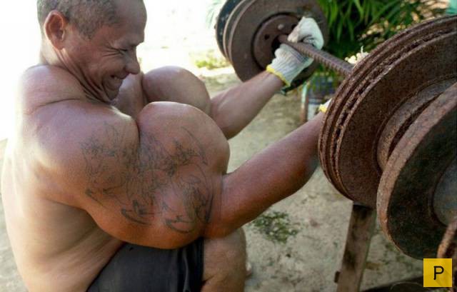 �������� ���������� ����������, ����� 41 (130 ����)