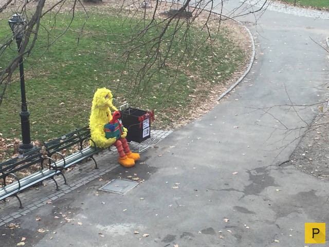 �������� ���������� ����������, ����� 41 (130 ����)