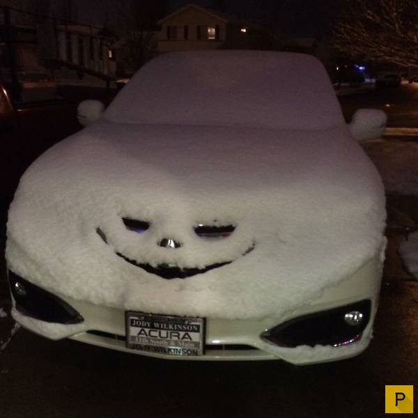 �������� ���������� ����������, ����� 41 (130 ����)