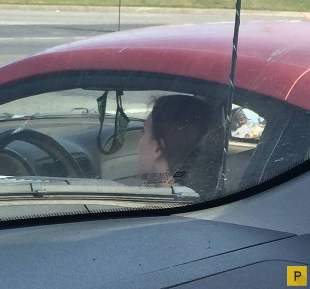 �������� ���������� ����������, ����� 41 (130 ����)