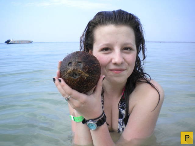 �������� ���������� ����������, ����� 41 (130 ����)