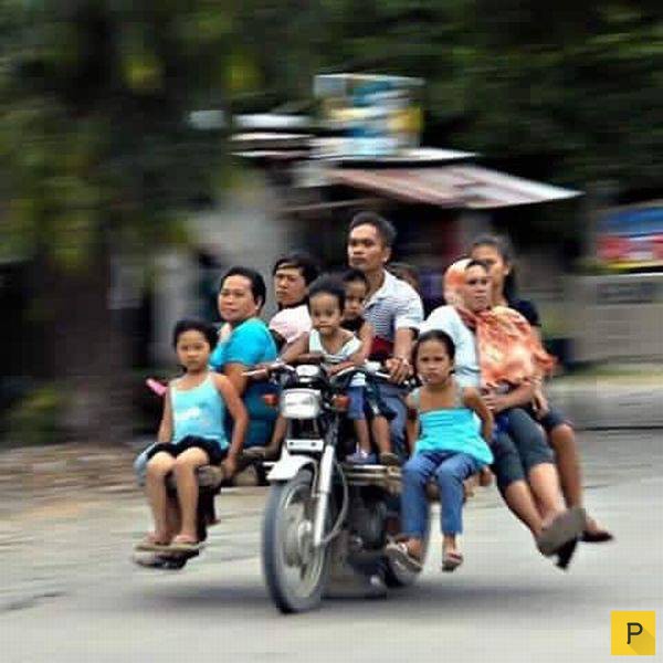 �������� ���������� ����������, ����� 41 (130 ����)