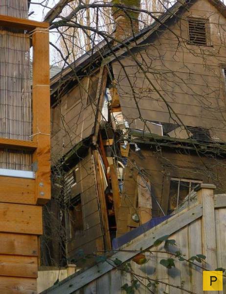 �������� ���������� ����������, ����� 41 (130 ����)