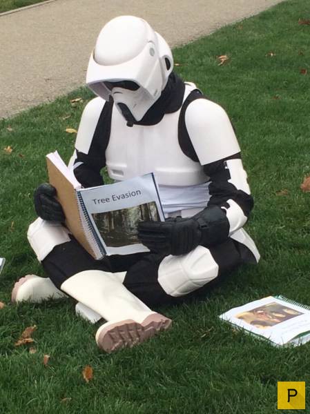 �������� ���������� ����������, ����� 41 (130 ����)