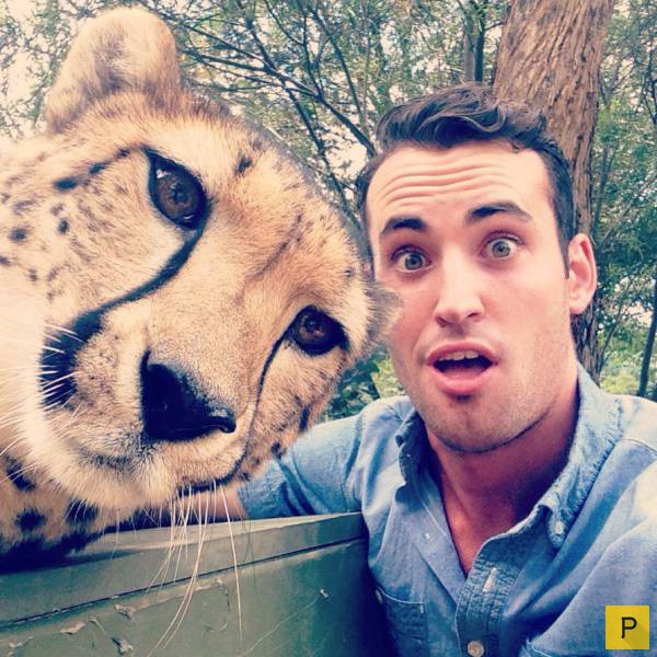 �������� ���������� ����������, ����� 41 (130 ����)