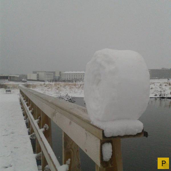 �������� ���������� ����������, ����� 41 (130 ����)