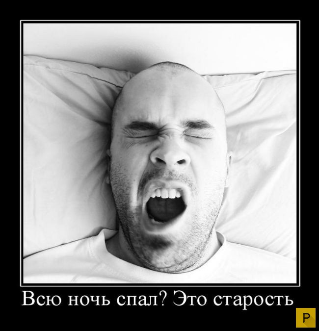 ������������ �� 17.12.2015 (38 ����)