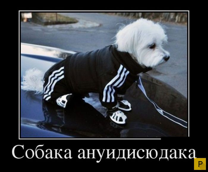 ������������ �� 17.12.2015 (38 ����)