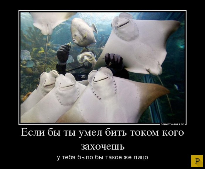 ������������ �� 08.12.2015 (32 ����)