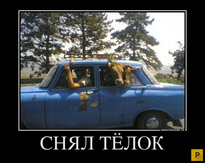 ������������ �� 08.12.2015 (32 ����)