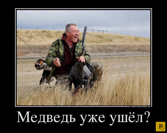 ������������ �� 08.12.2015 (32 ����)