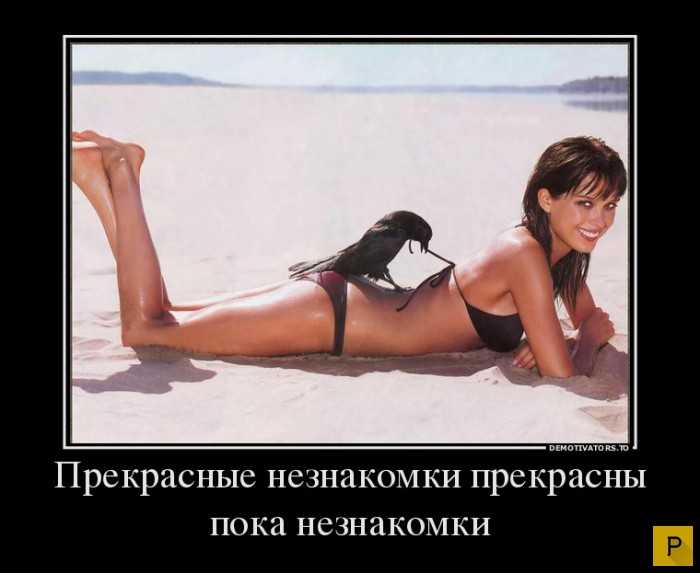 ������������ �� 08.12.2015 (32 ����)
