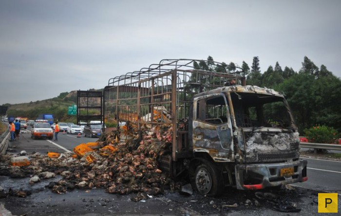 2000 уток сгорели в грузовике во время аварии в Китае (5 фото)