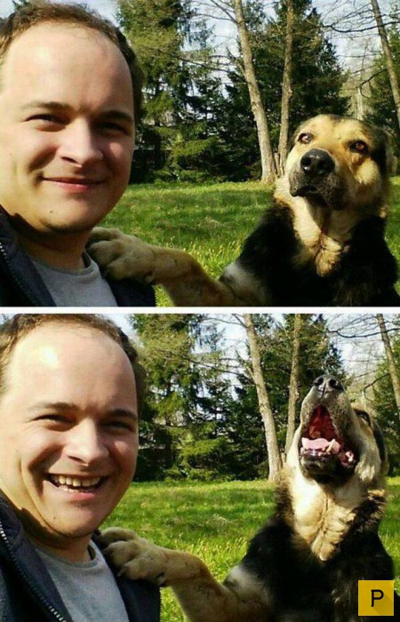 �������� ���������� ����������, ����� 41 (130 ����)