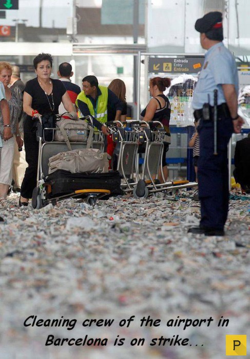 �������� ���������� ����������, ����� 41 (130 ����)