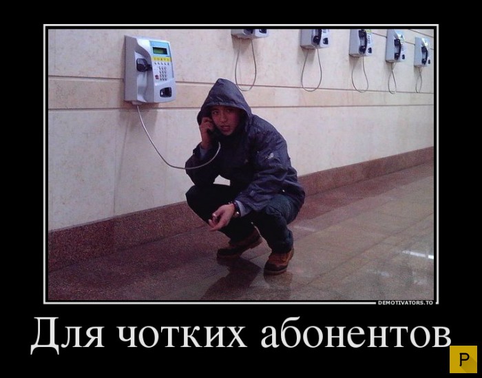 ������������ �� 17.12.2015 (38 ����)