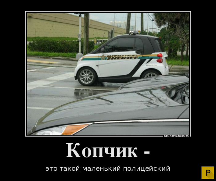 ������������ �� 17.12.2015 (38 ����)