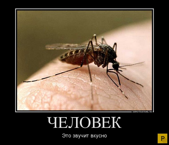 ������������ �� 17.12.2015 (38 ����)