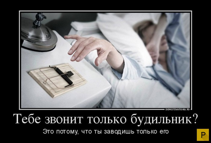 ������������ �� 17.12.2015 (38 ����)