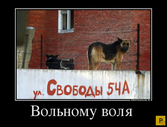 ������������ �� 17.12.2015 (38 ����)