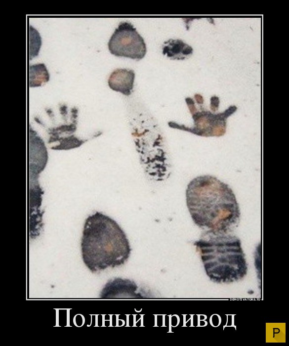 ������������ �� 4.01.2016 (32 ����)