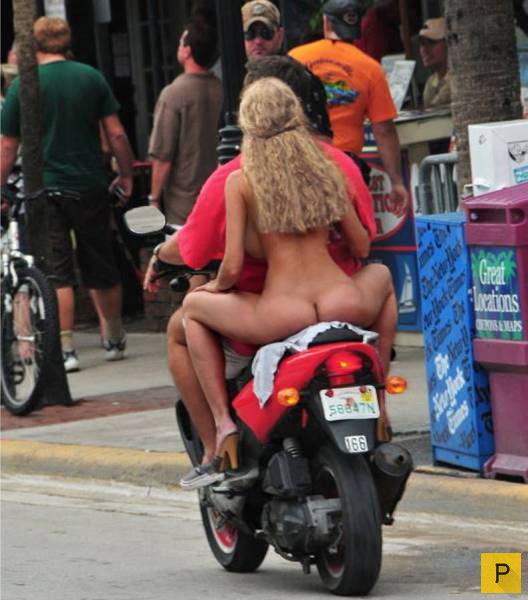 (18+) �������� �������� ������ ��� �������� (61 ����)