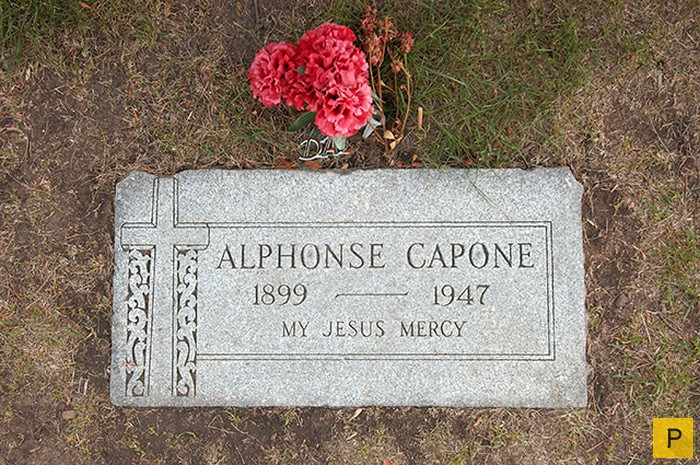 ������������ �������� ��� ������ (7 ����)