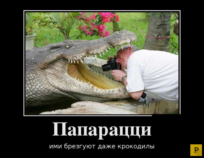 ������������ �� 20.01.2016 (40 ����)