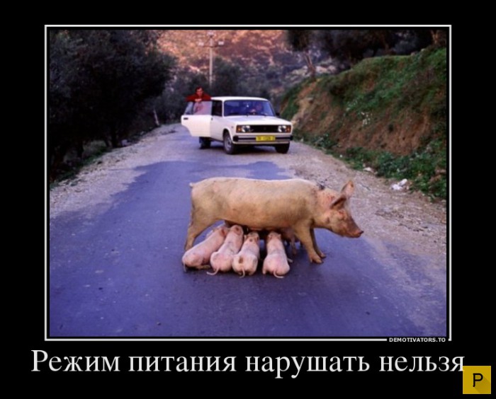������������ �� 4.01.2016 (32 ����)