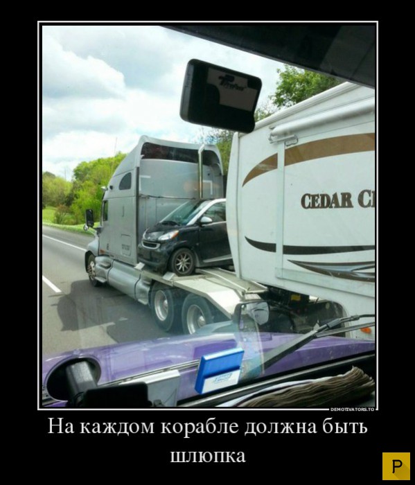 ������������ �� 4.01.2016 (32 ����)