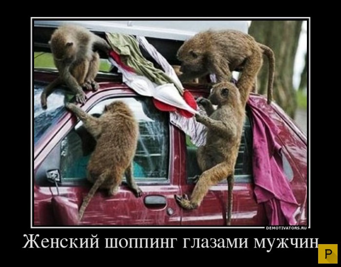 ������������ �� 4.01.2016 (32 ����)