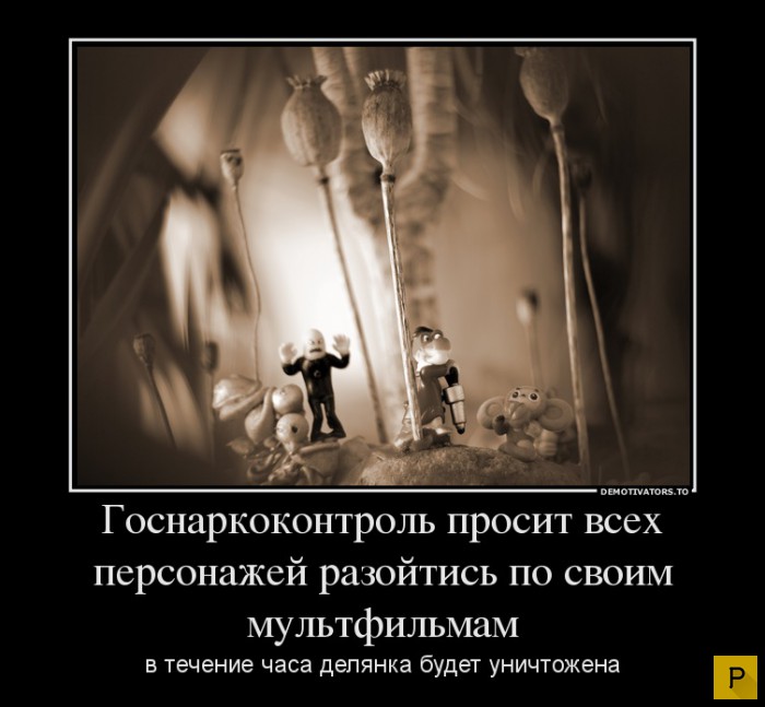 ������������ �� 4.01.2016 (32 ����)