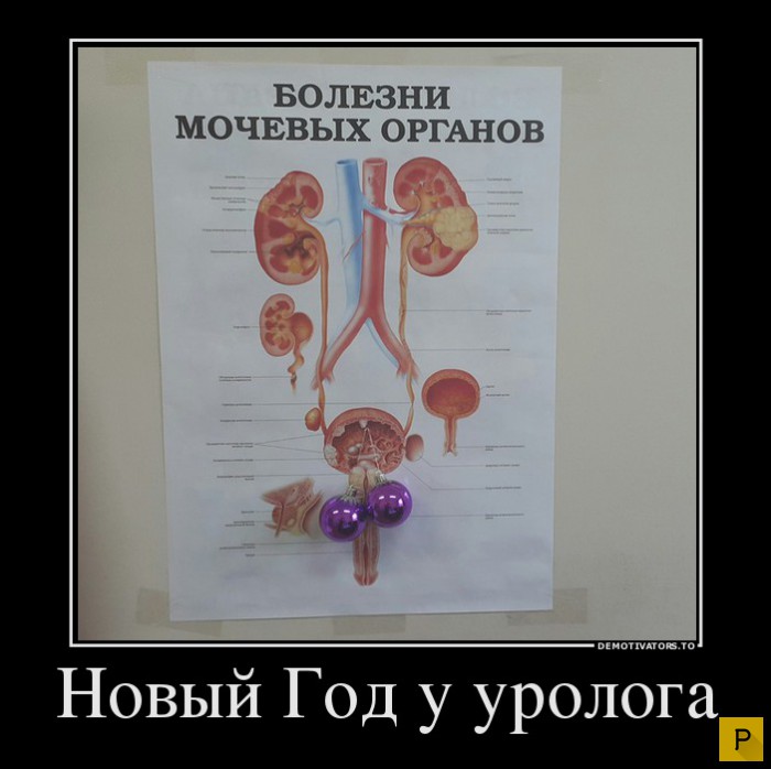������������ �� 4.01.2016 (32 ����)