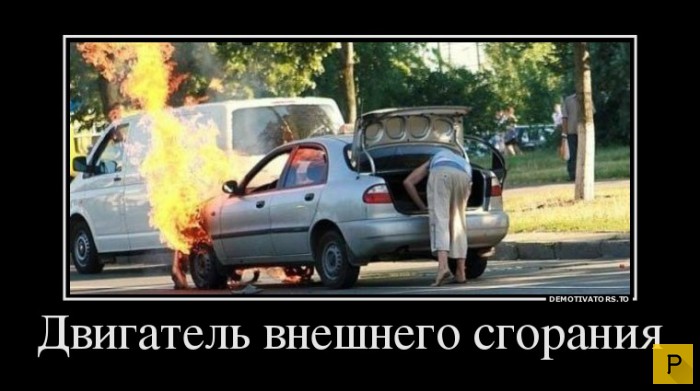 ������������ �� 20.01.2016 (40 ����)