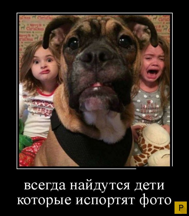 ������������ �� 20.01.2016 (40 ����)