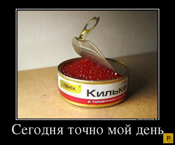 ������������ �� 20.01.2016 (40 ����)