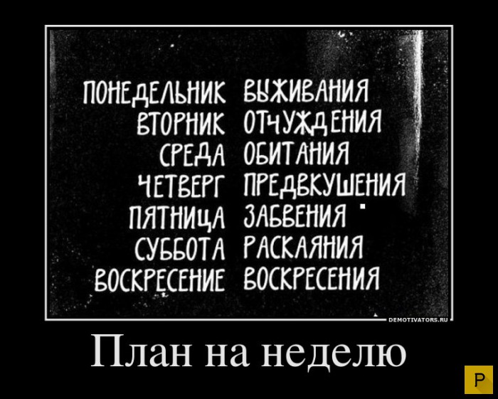 ������������ �� 20.01.2016 (40 ����)