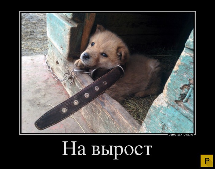 ������������ �� 20.01.2016 (40 ����)