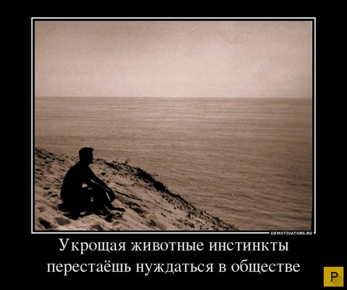 ������������ �� 20.01.2016 (40 ����)