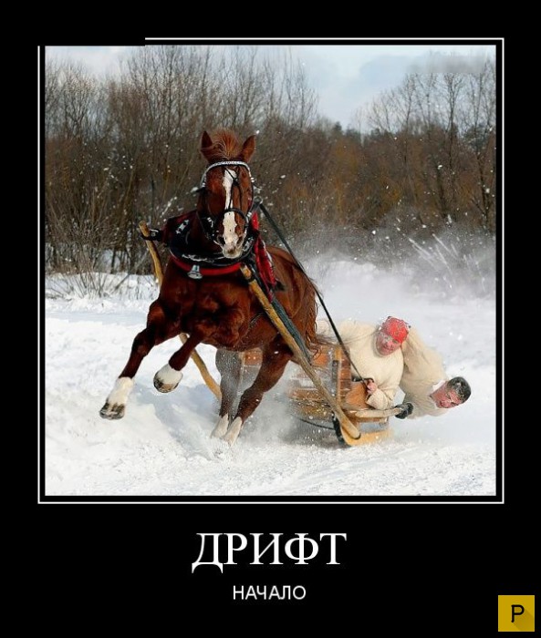 ������������ �� 20.01.2016 (40 ����)