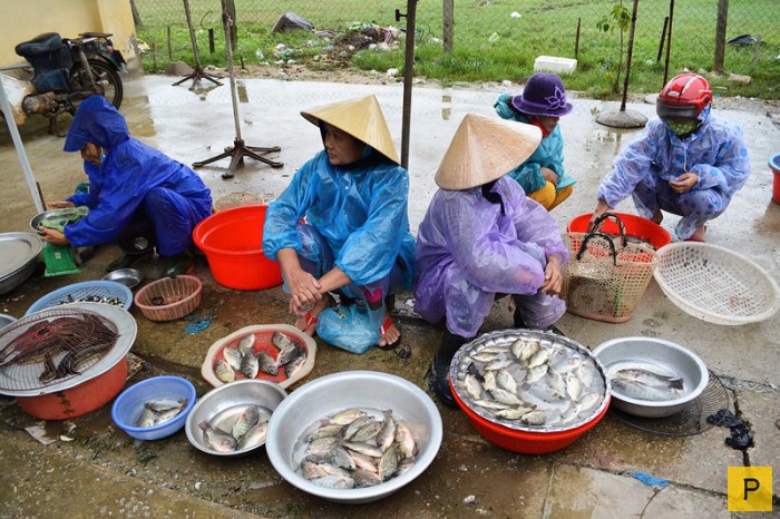 На вьетнамском рынке (11 фото)