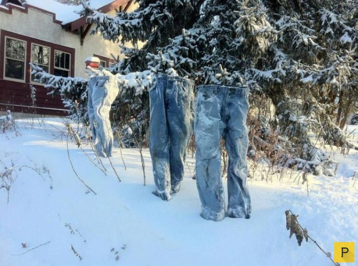 Замерзшие на холоде штаны - американский флешмоб (11 фото)