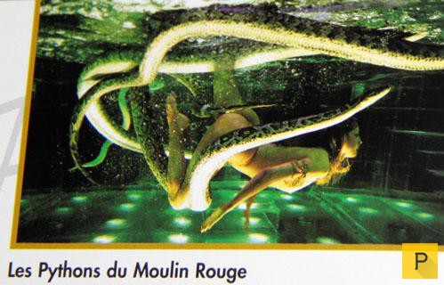 ��� 15: ����� ���������� ����� � ������ ������ ��� (11 ����)