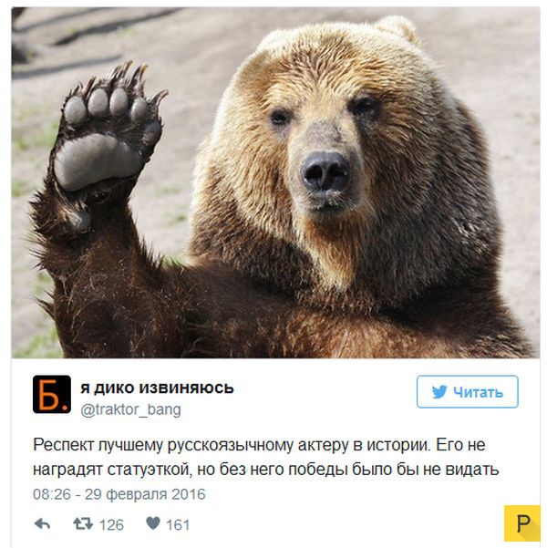 Лео получил долгожданного "Оскара" (33 фото) Лео получил долгожданного "Оскара" (33 фото)