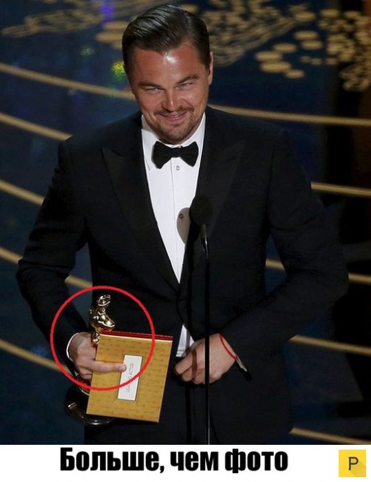 ��� ������� ������������� "������" (33 ����)