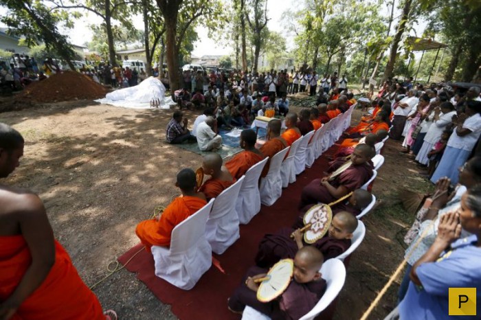Похороны слона в Шри-Ланка (10 фото)