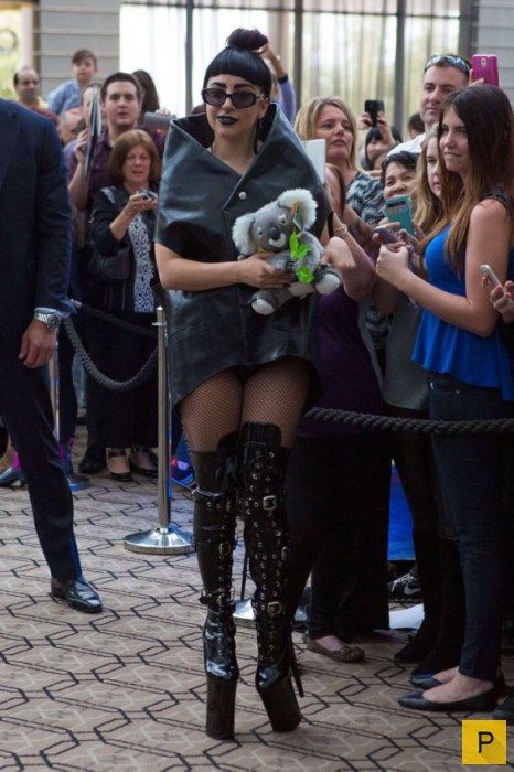 Леди Гага всегда такая разная! (32 фото)