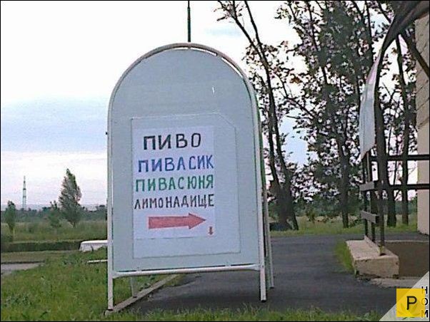 �������� ���������� � �������, ����� 12 (29 ����)