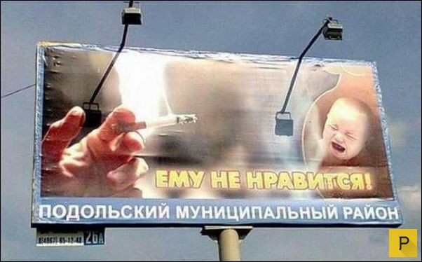 �������� ���������� � �������, ����� 12 (29 ����)